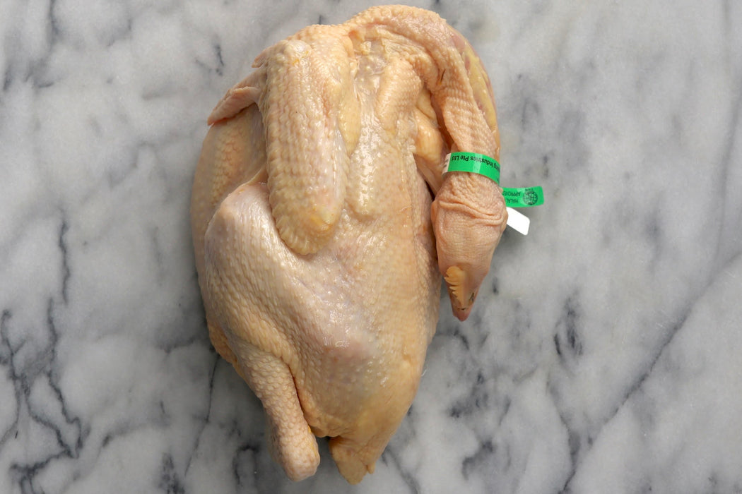 Organic Kampung Whole Chicken 1.3kg (Medium) - Chilled