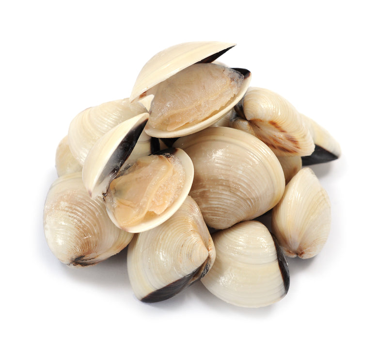 Clam (Lala White Shell) Frozen 1kg